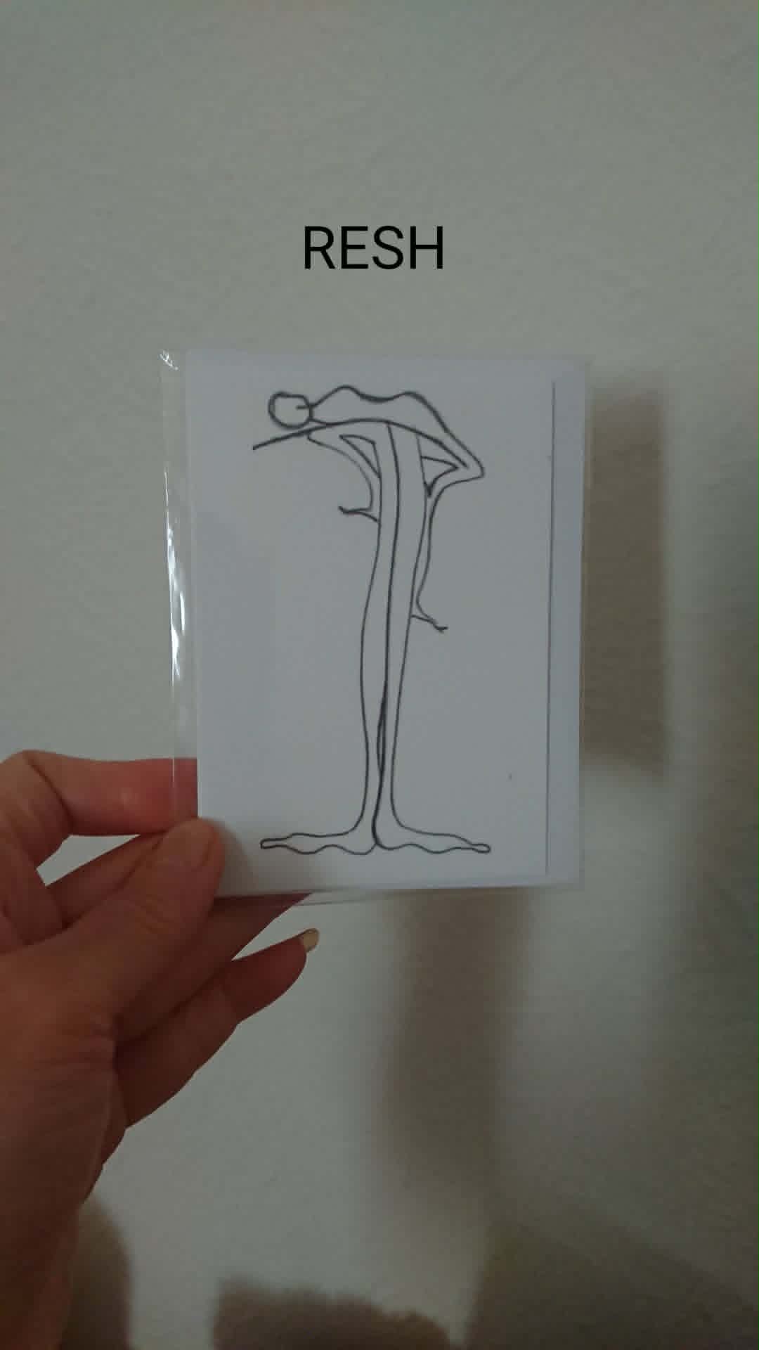 MEIAN ILLUSTRATIONS Living Letters Cards - Image 8